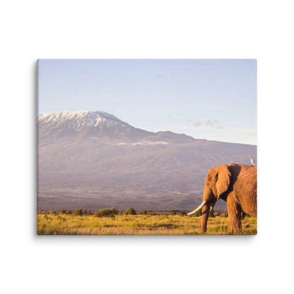 Kilimanjaro Majesty - Image 3