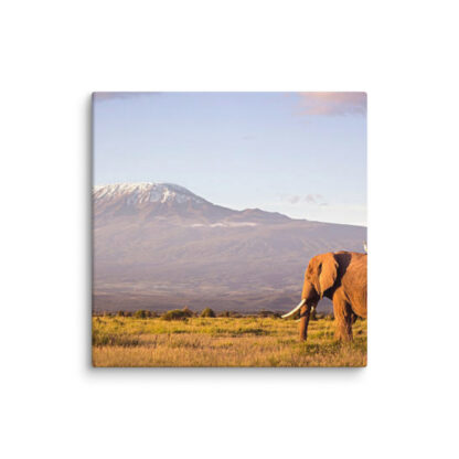 Kilimanjaro Majesty - Image 2