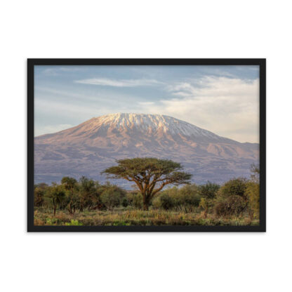 Majesty of Kilimanjaro - Image 2