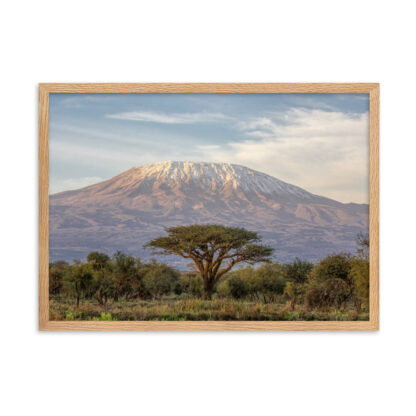 Majesty of Kilimanjaro