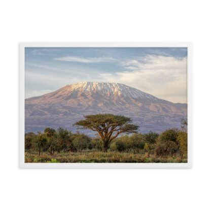 Majesty of Kilimanjaro - Image 3